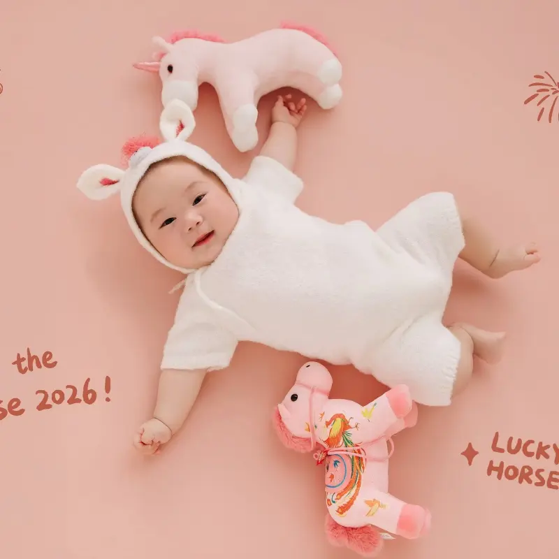 2026 Pink Horse Year Theme Set - Newborn Photography Props - Image 4